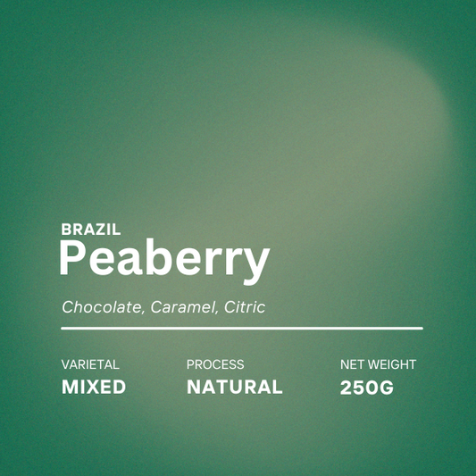 Brazil Peaberry