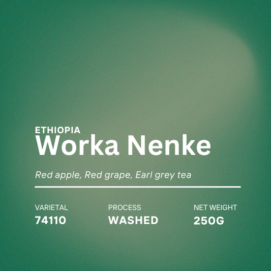 Ethiopia Worka Nenke